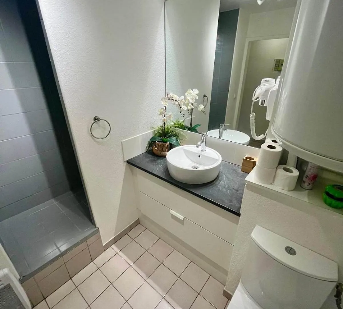 Studio Lumiere In Lyon Apartment